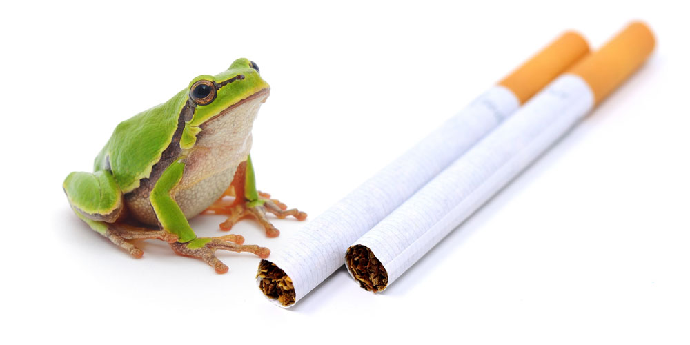 Los fumadores y el síndrome de la rana
